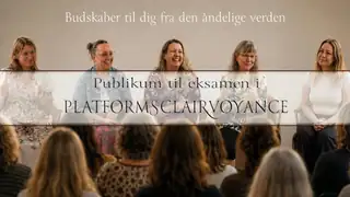Audience for Clairvoyance Platform Exam (Hørve)
