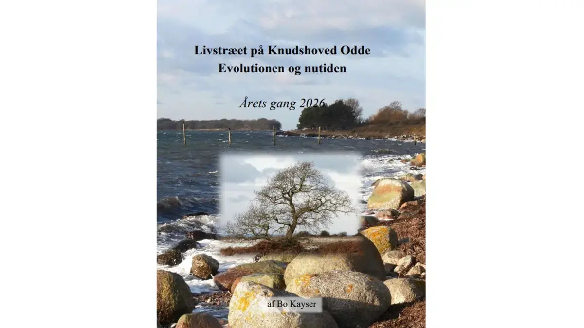 The Tree of Life at Knudshoved Odde - Evolution and Today · Foredragssalen på Vordingborg Bibliotek, Vordingborg