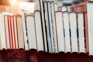 Book Exchange Day at Vordingborg Library