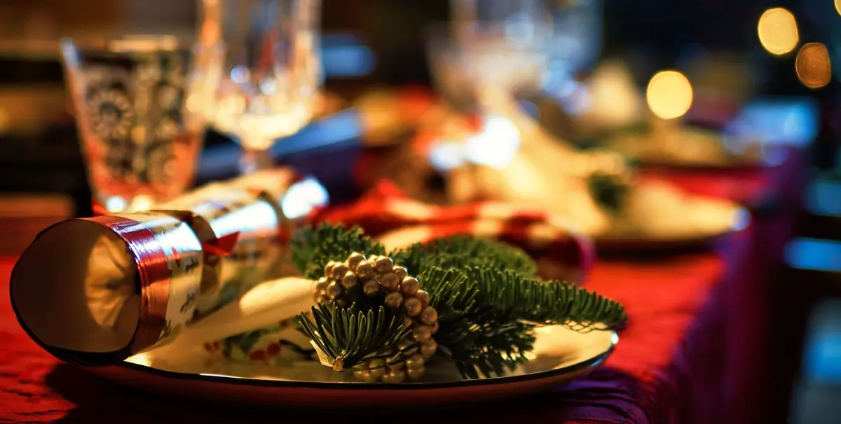Christmas Lunch with Ældresagen · Trekanten - Bibliotek og Kulturhus, Aalborg