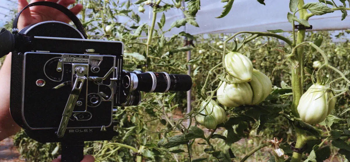 16mm film workshop · Union, Copenhagen
