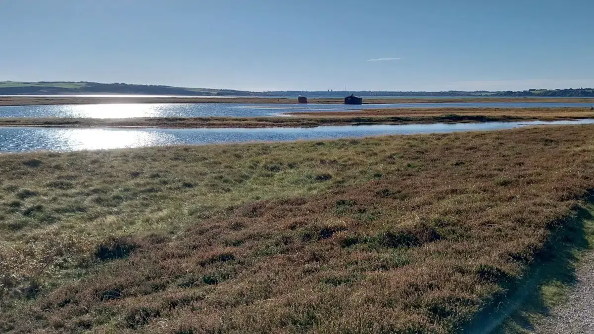 Gjellerodde Nature and Management, with Annual Meeting · Lemvig