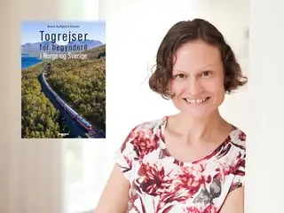 Train Travel for Beginners in Norway, Sweden and Germany
