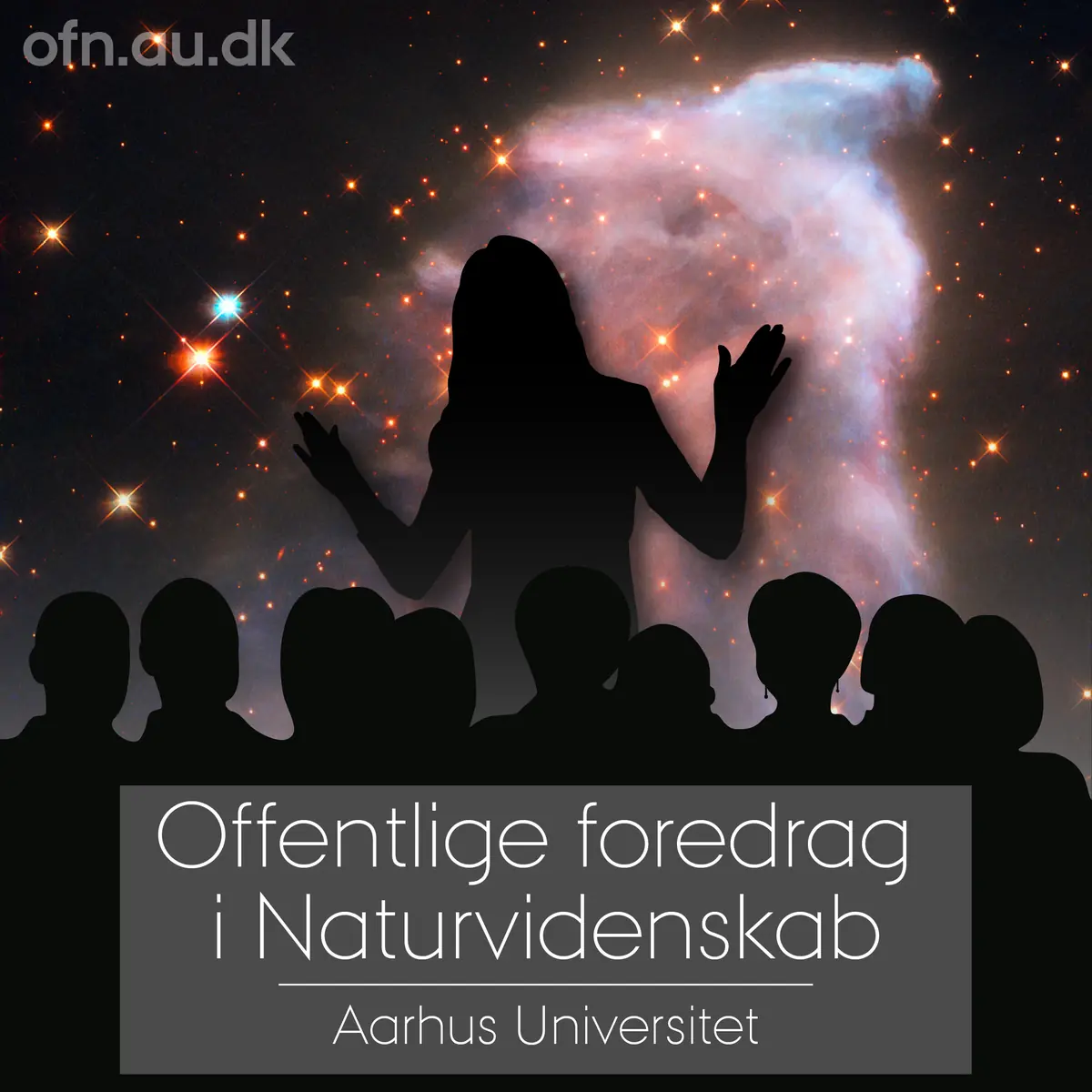 Livestreaming · Sorø Bibliotek, Sorø