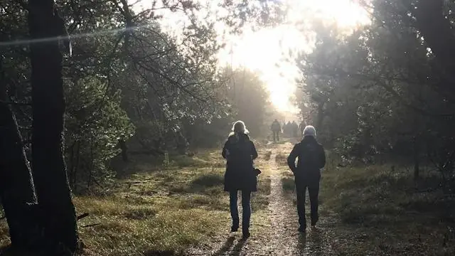 New Year's Walk with Wellness · Stensbæk Plantage, Høm