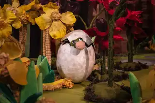 Børneteater: Æg