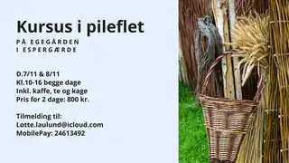 2-Day Willow Weaving Course with Lotte Laulund
