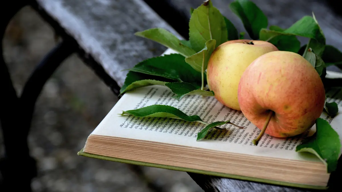 Книжное кафе на фестивале Ebelfestival — BMA, Maltfabrikken i Ebeltoft, Эбельтофт