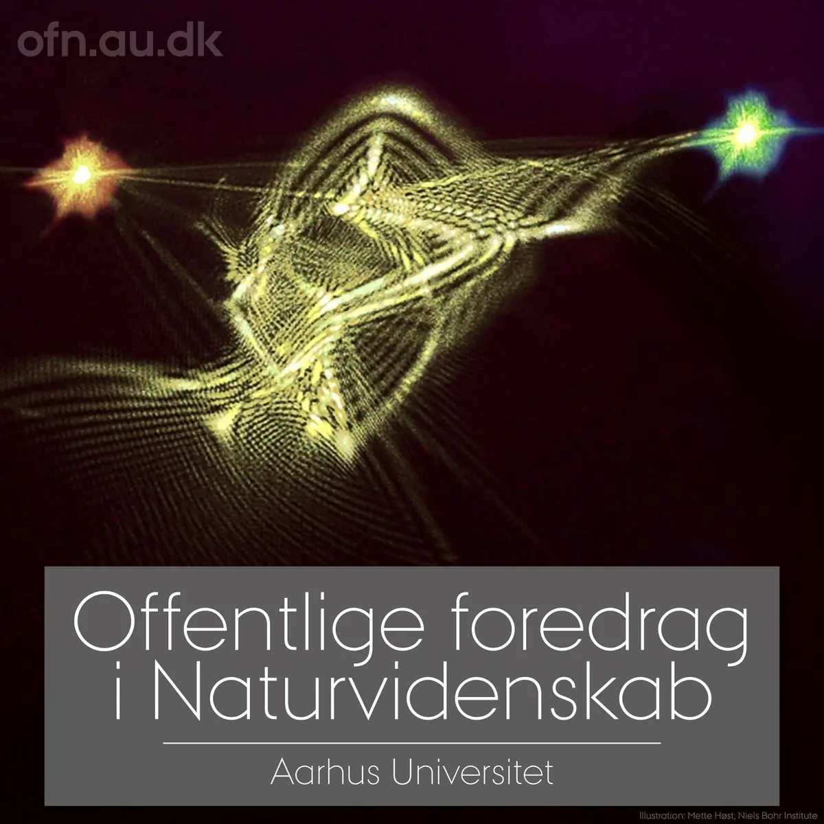 The Quantum Computer — Risskov Bibliotek, Risskov