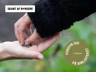 FRØ – filmvisning og frøbyttemarked
