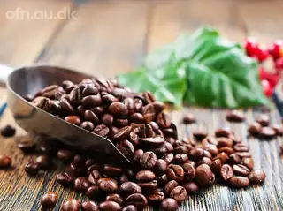 Offentlige foredrag i Naturvidenskab: Kaffe