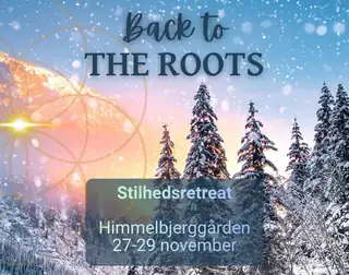 BACK TO THE ROOTS- StilhedsRetreat