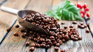 Offentlige foredrag i Naturvidenskab: Kaffe