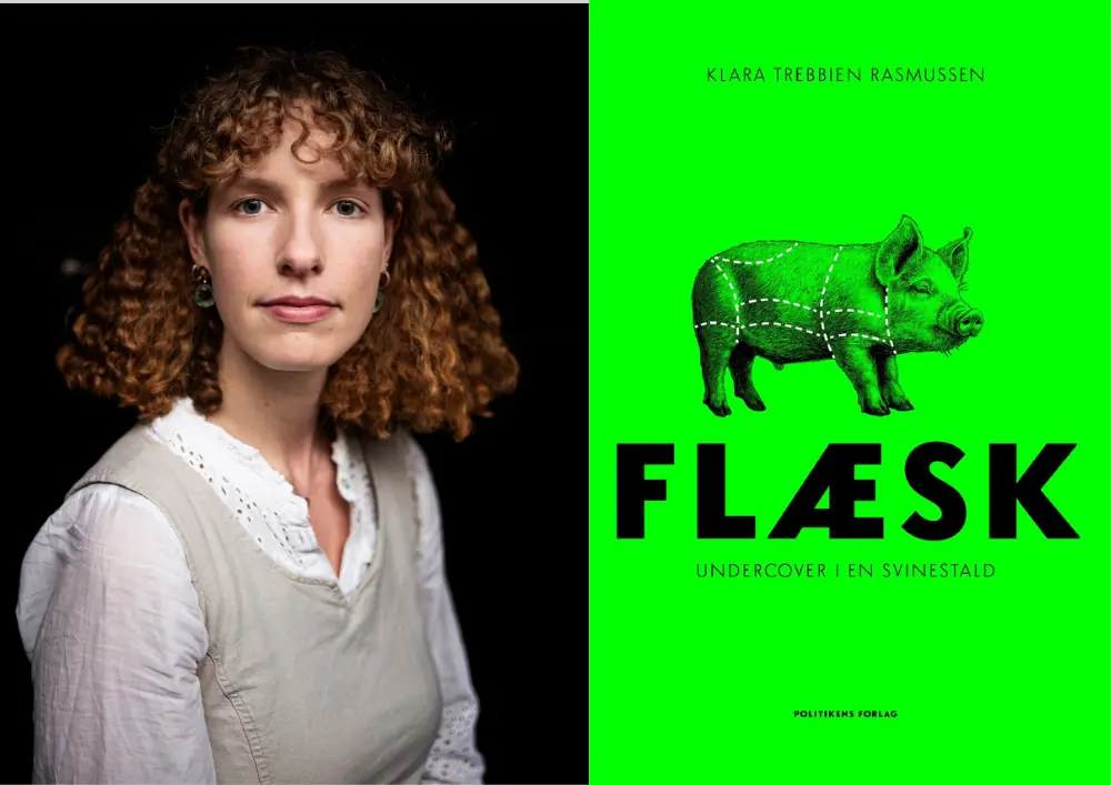 Klara Trebbien Rasmussen - Flæsk — Fredericia Bibliotek, Fredericia