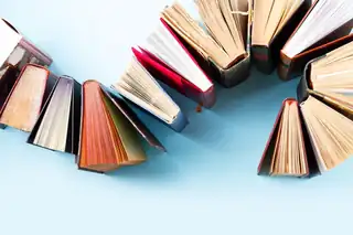 Litteratursnakken