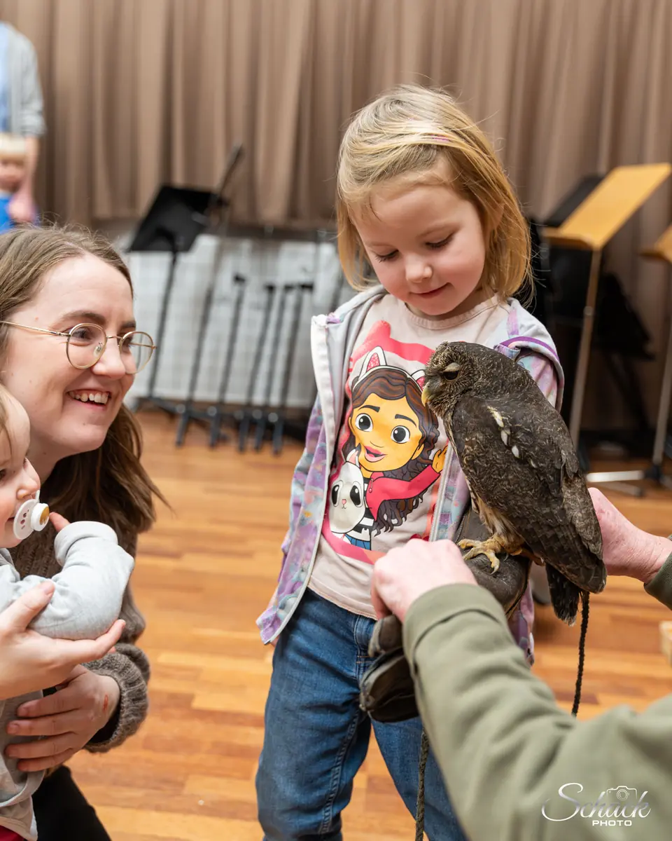 Шоу сов с Owl Kingdom — Hobro Bibliotek (Hovedbibliotek), Хобро