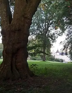 Literary Walk, 3 September 2026