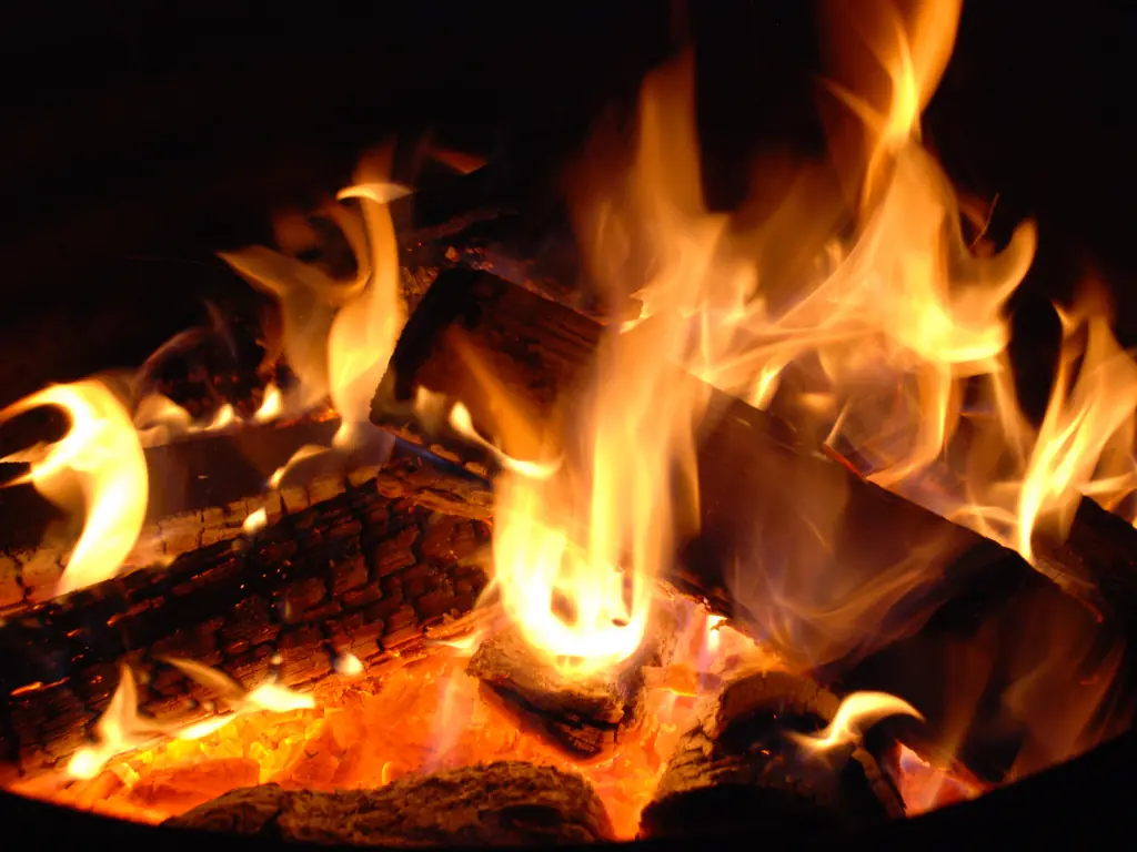 Bonfire Evening: Our Digital Life — Åby Bibliotek, Åbyhøj
