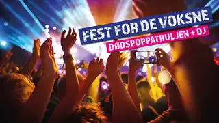 PARTY I PORTALEN