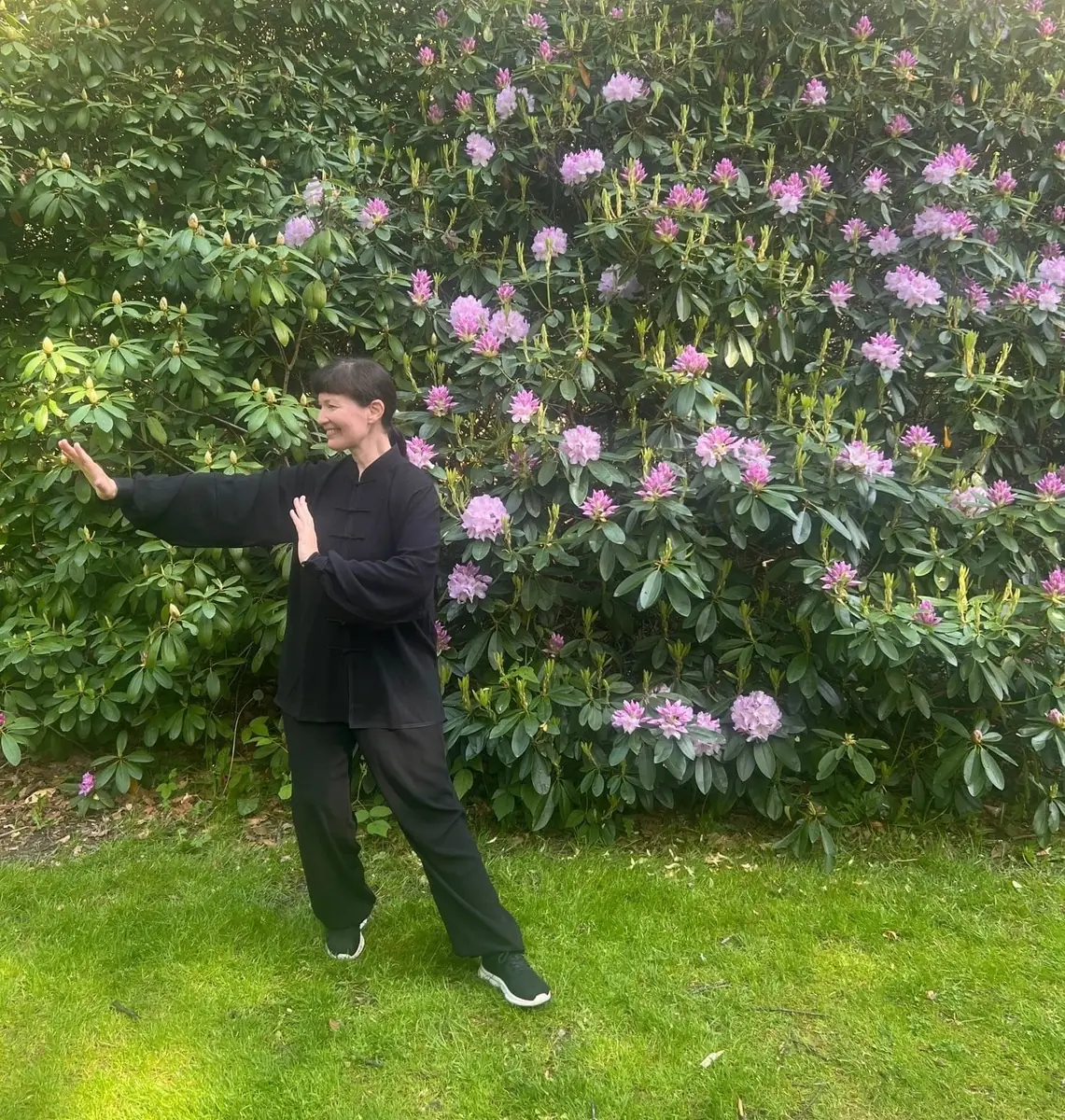 Qigong i parken — Nivaagaards Malerisamling, Nivå