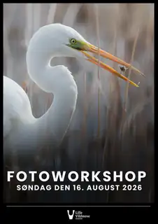 Fotoworkshop