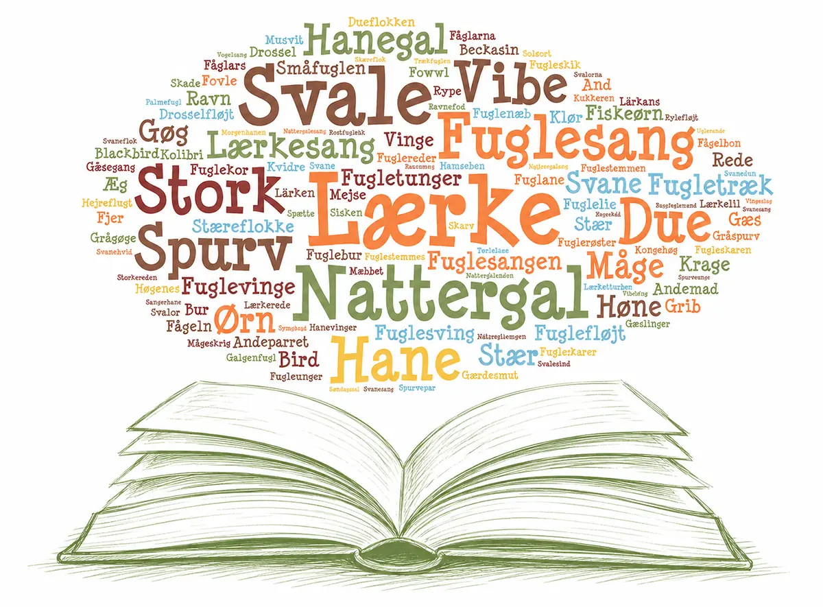Extended Morning Song: Birds in the Danish Folk Song Book — Brønshøj Bibliotek, Copenhagen