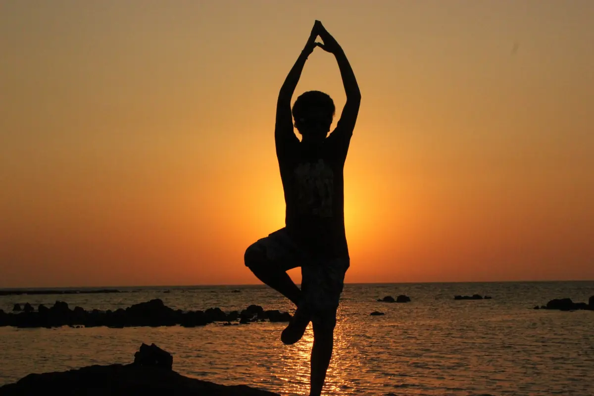 Yoga for Newcomers — Alsion, Sønderborg