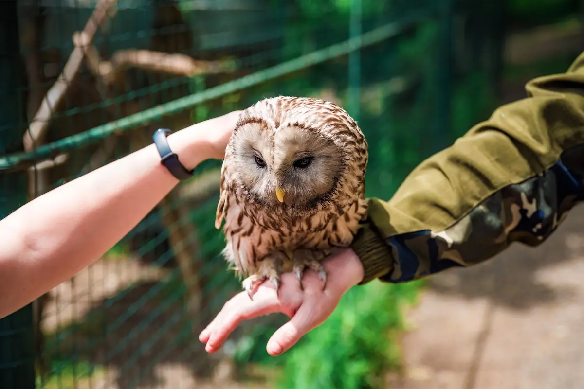 Naturens fest — Universe, Nordborg