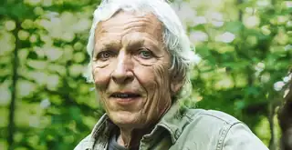 Jørgen Skouboe