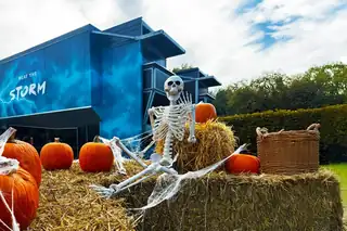 Halloween Week