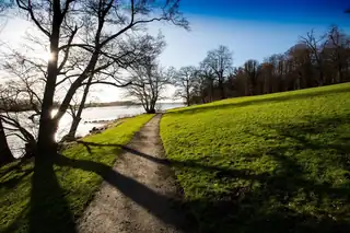 Når havbunden dør, og hvad kan vi gøre ved det?