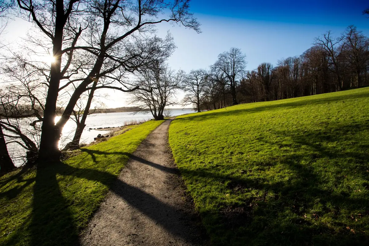 When the Seabed Dies, and What We Can Do About It — Biblioteket Augustenborg, Augustenborg