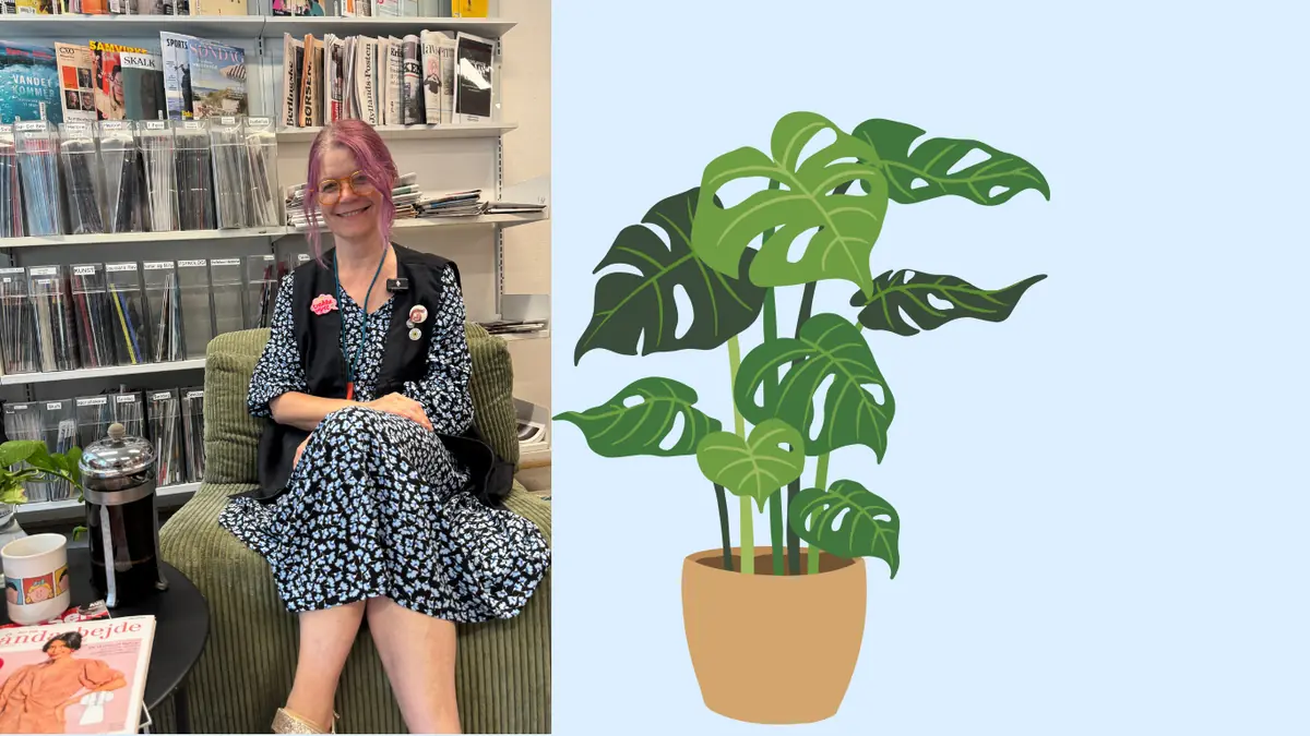 Kaffe på kanden på dit lokale bibliotek — Islands Brygge Bibliotek, København