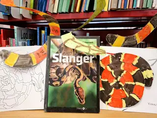 Slangeuroer - kreaværksted