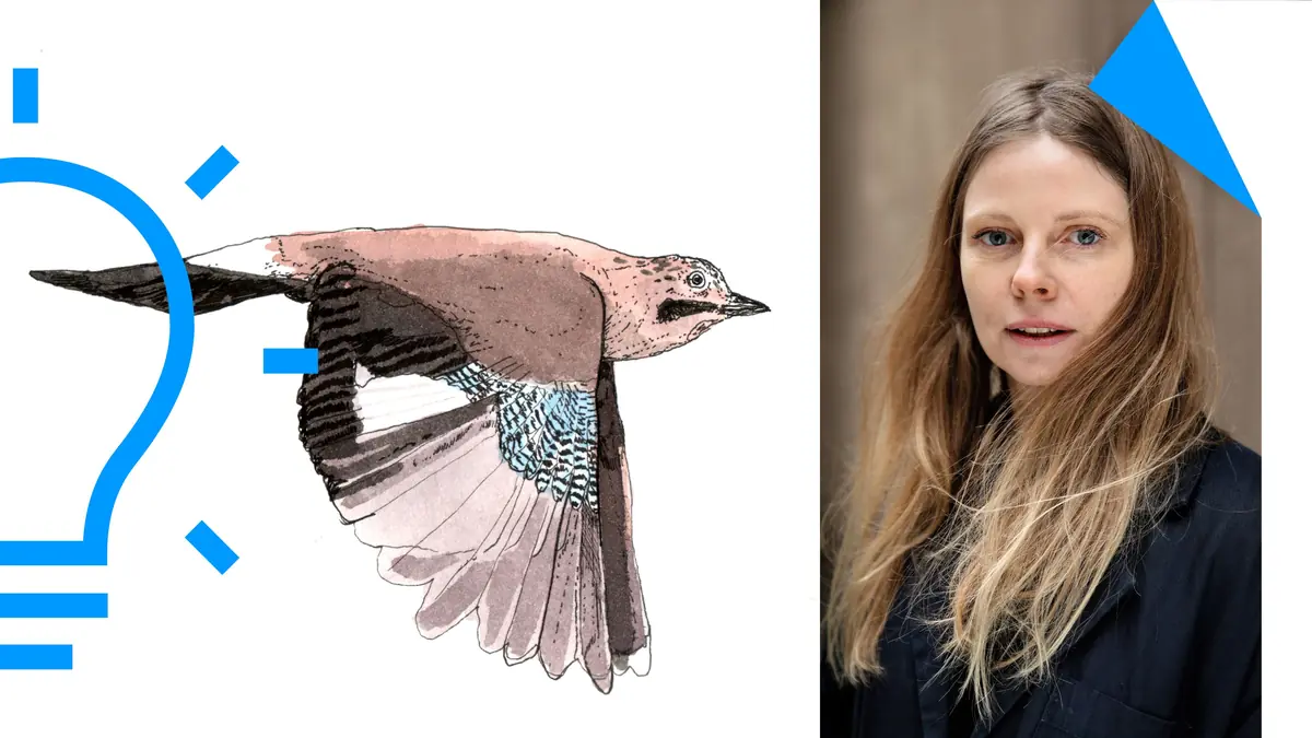 Draw Birds with Signe Parkins - Drawing Workshop for Adults — Brønshøj Bibliotek, Copenhagen
