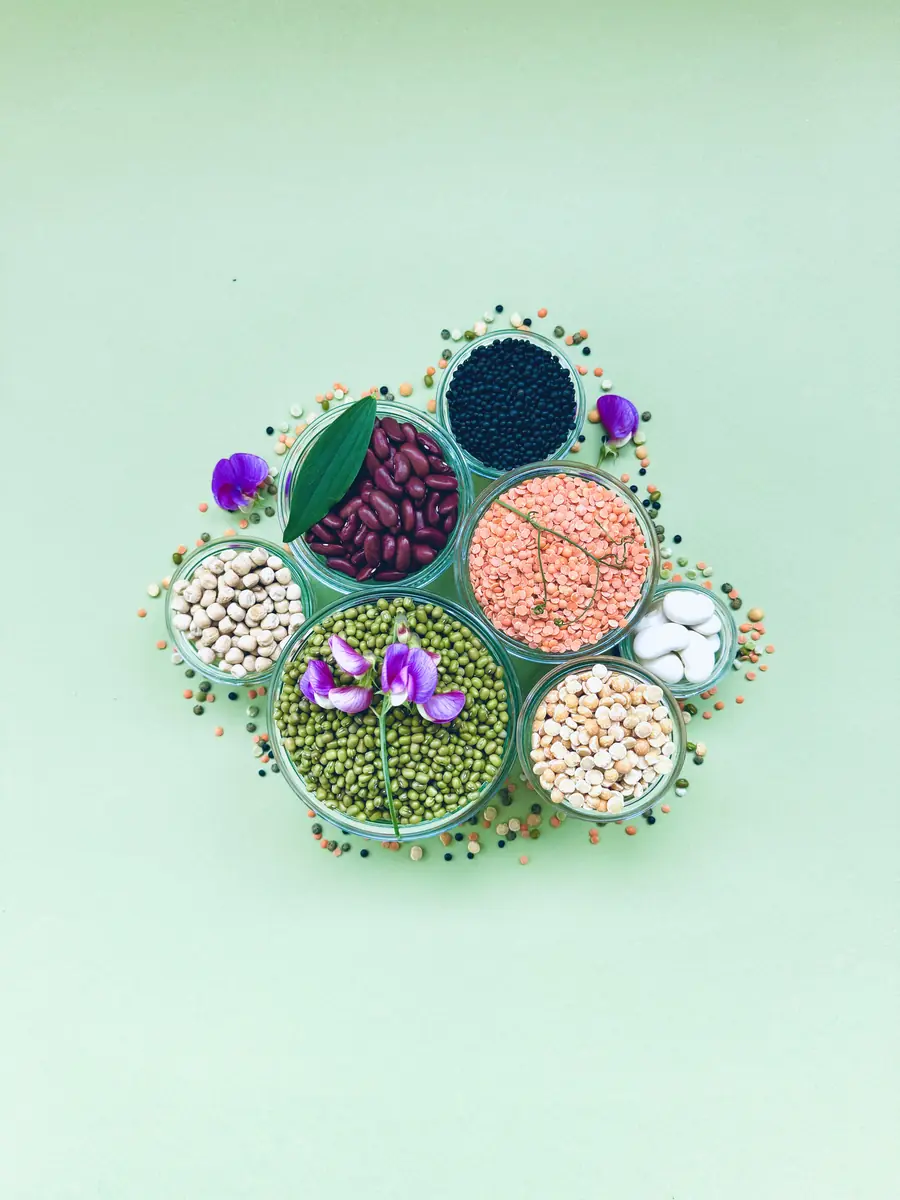Legumes for Beginners — Fredericia Bibliotek, Fredericia