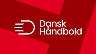 EHF EURO Cup - Håndboldherrerne, Danmark mod Spanien