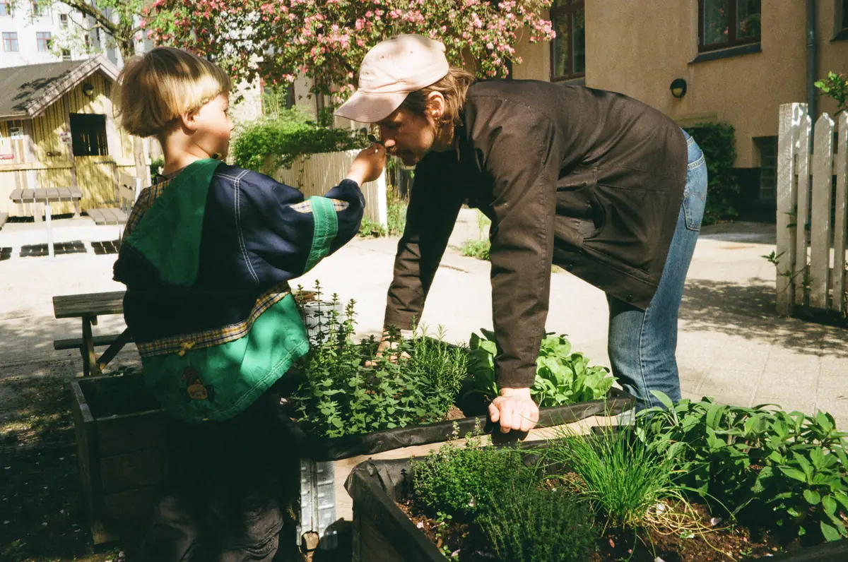 Green Food and Homemade Sauerkraut — Solvang Bibliotek, Copenhagen