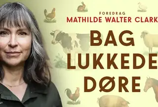 Mathilde Walter Clark Bag lukkede døre