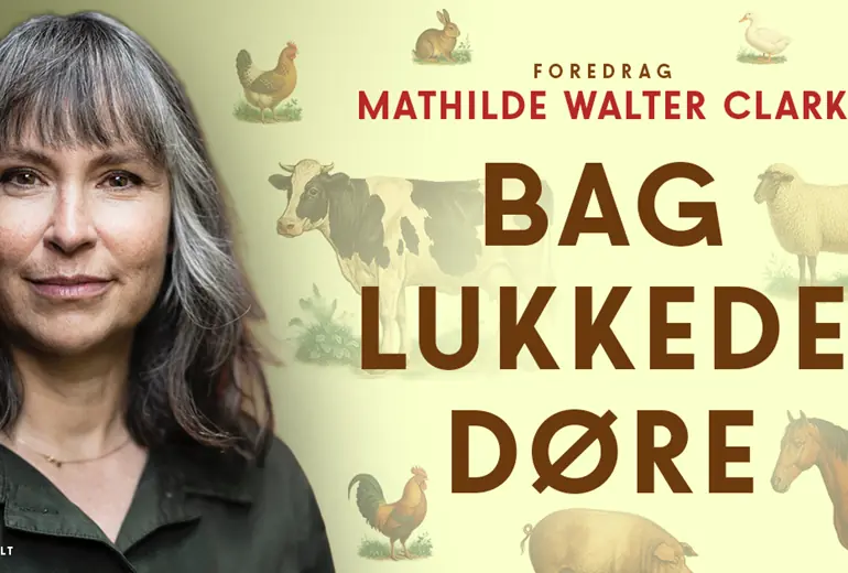 Mathilde Walter Clark Bag lukkede døre — Bygningen Vejle, Vejle