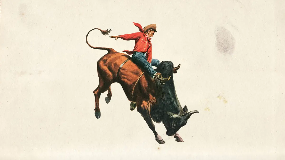 Country Night — Hotel Cecil, Copenhagen