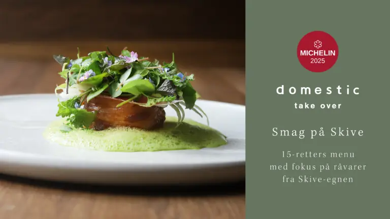 Domestic – 15-retters Michelin menu inkl. drikkevarer — Kulturcenter Skive, Gårdhaven, Skive