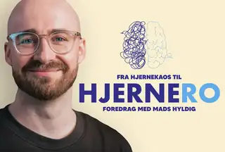 Mads Hyldig - Hjernero