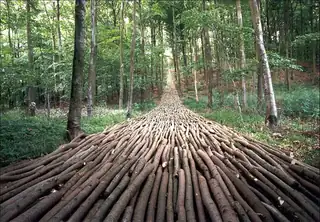 The Landscape as Artistic Material