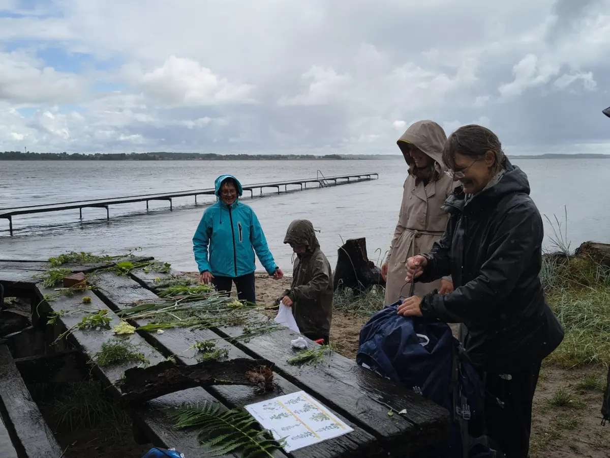 Bliv dus med de Vilde Planter — Skarresø, Jyderup