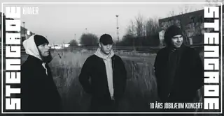 Binær - 10 Year Anniversary Concert // Sold Out