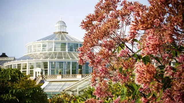 Plantemedicin – fra myter og overtro til nutidens forskning — Botanisk Have, København
