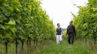 Vinsmagning & rundvisning hos Tusen Vin