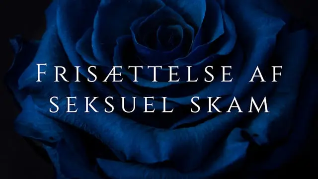 Frisættelse af seksuel skam i Århus — Hjerterum Aarhus, Aarhus