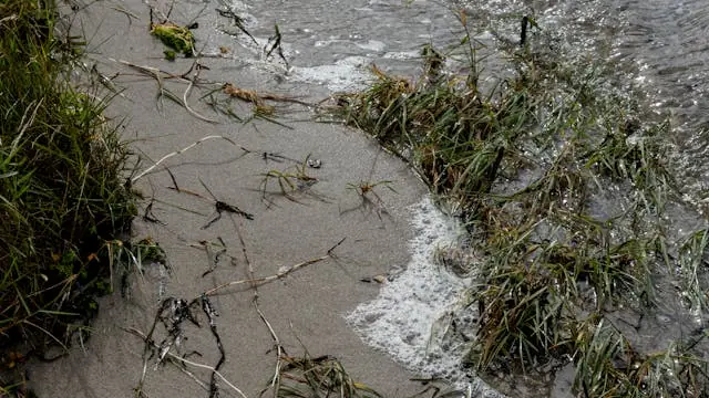 Samtale om fiskeri og fjorden — Naturlandsbyen, Doverodde, Hurup